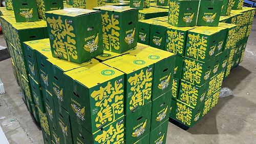 打工人禁止“蕉绿”让苹果蕉销量倍增(图2)